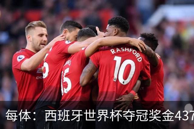 每体：西班牙世界杯夺冠奖金4370万欧元